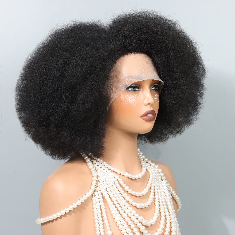 14 Inch Afro Wigs for Black Wo - Glueless Wear And Go Human Hair Wig review and price
