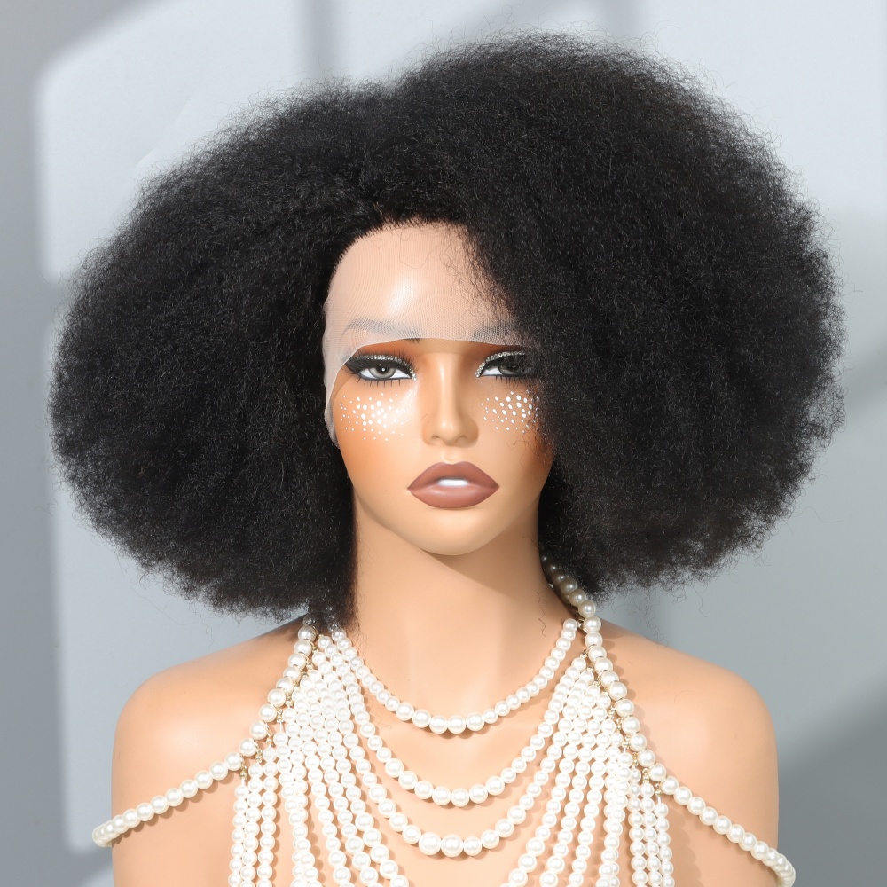 14 Inch Afro Wigs for Black Wo - Glueless Wear And Go Human Hair Wig review and price