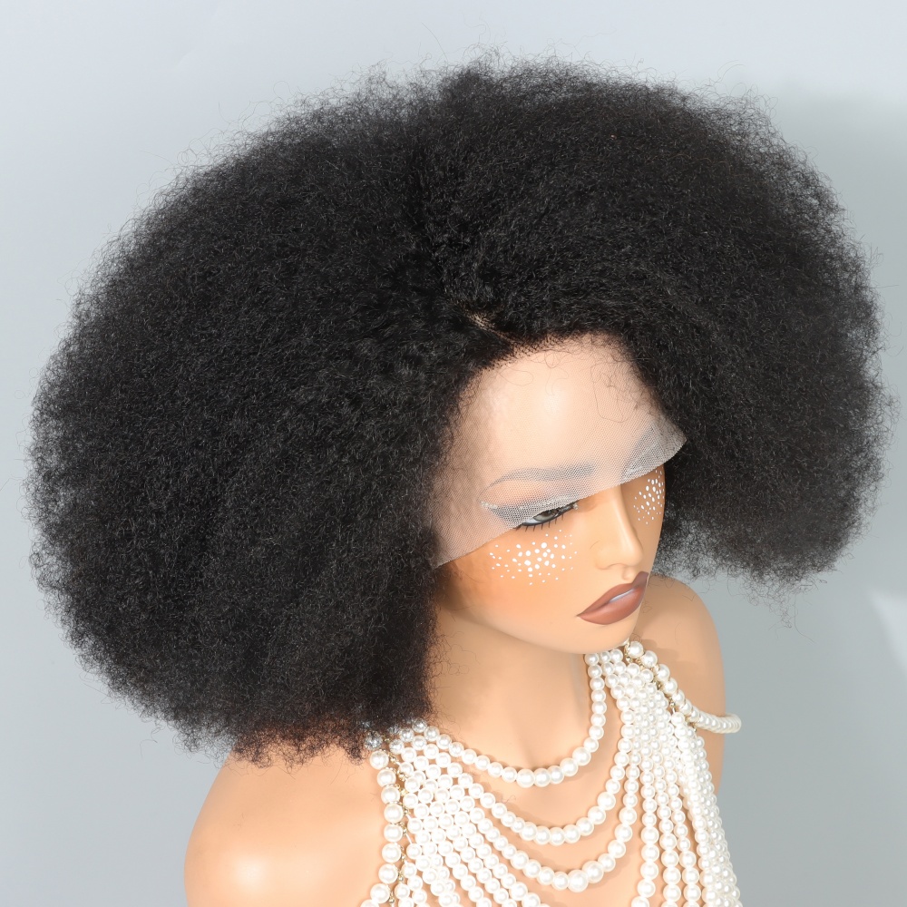 14 Inch Afro Wigs for Black Wo - Glueless Wear And Go Human Hair Wig review and price