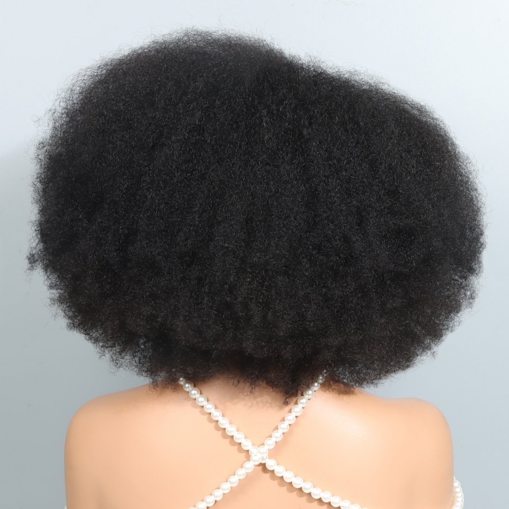 14 Inch Afro Wigs for Black Wo - Glueless Wear And Go Human Hair Wig review and price